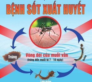 Bài tuyên truyền hưởng ứng tháng hành động hướng tới” Ngày ASEAN phòng, chống sốt xuất huyết