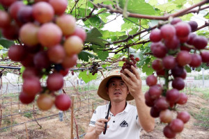 Người chinh phục vùng đất khó- xây dựng mô hình trải nghiệm