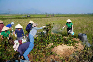 Hội Nông dân xã Xuân Thành với phong trào làm phân hữu vi sinh cơ để sản xuất nông nghiệp